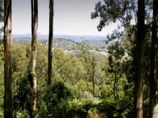 down menzies rd looking over cardinia.jpg