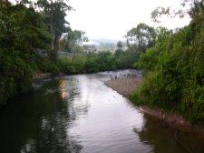 DSCN2219.jpg