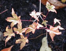 DSCN4304.JPG