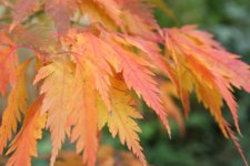 IMG_7577.jpg
