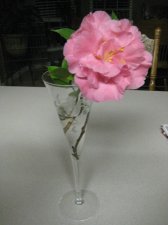 Picture 002.jpg