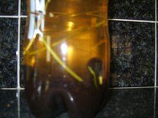 S8003832.jpg