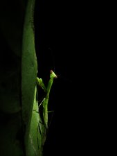 P4100146y.jpg