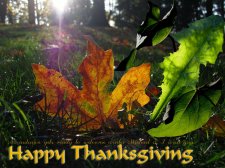 usaThanksgiving09.jpg