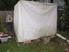 09_NOV18thCATSdownTOWN_s00107.jpg