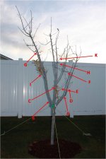 Labeled Apple.jpg
