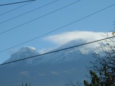 S8003853.jpg
