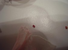 seeddd.jpg