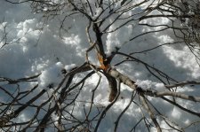 DSC_0003.jpg