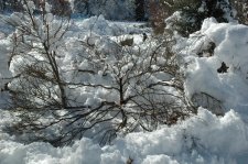 DSC_0004.jpg