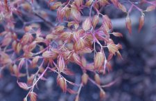 20100305 003.jpg
