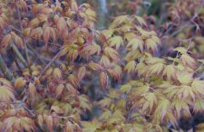 20100305 005.jpg