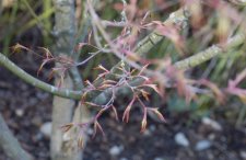 20100305 006.jpg