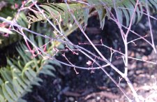 20100305 014.jpg