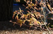 20100305 017.jpg