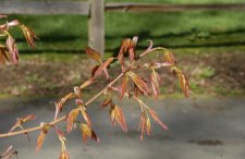 20100305 018.jpg