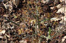 20100305 019.jpg