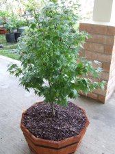 DSCF6965.jpg