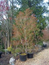 20100321 026.jpg