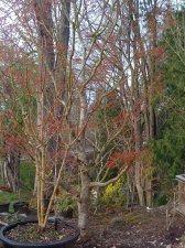 20100321 024.jpg