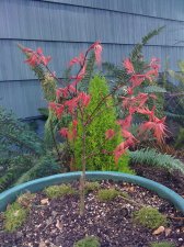 20100321 071.jpg
