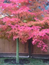 2009 Oct.jpg