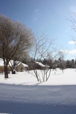 IMG_3070.jpg
