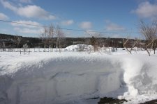 IMG_3074.jpg
