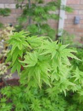 DSCF2292.jpg