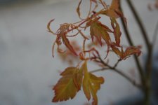 IMG_8802.jpg
