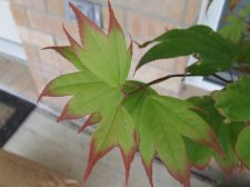 DSCF5988.jpg