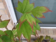 DSCF5987.jpg