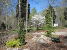 1-Garden.jpg