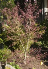 DSC_0005.jpg