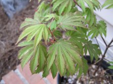 IMG_0471.jpg