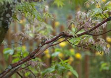 DSC_0015.jpg