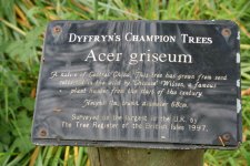 Wales_May_2007 392.jpg