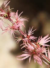 IMG_0758.jpg