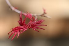 IMG_0187.jpg