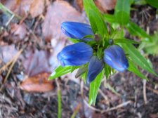 IMG_1621.JPG