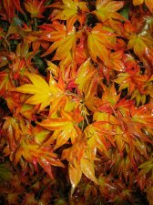 DSCN0426.JPG