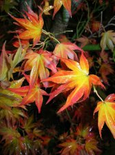 DSCN0428.JPG