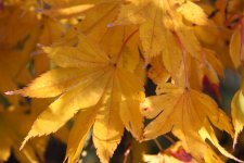 IMG_1408.JPG