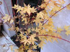 DSCN2251.JPG