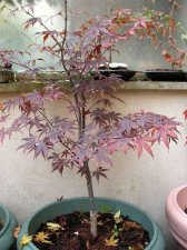 DSCN2256.JPG