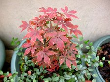 DSCN2260.JPG