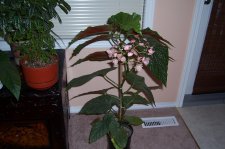 100_0885.JPG