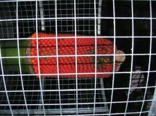 IMG_0763.jpg