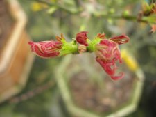 DSCN0553.JPG