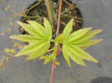 DSCN0559.JPG